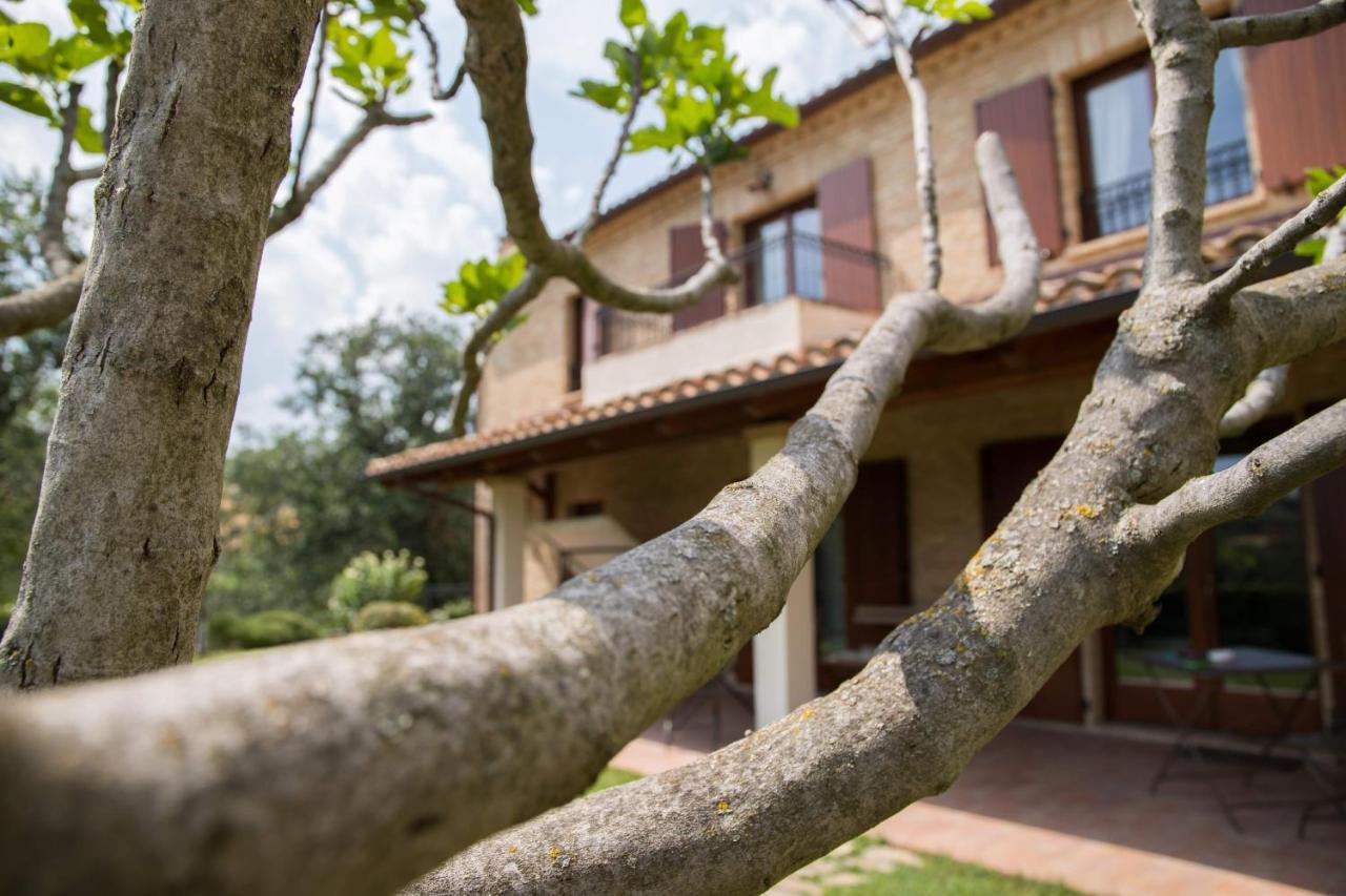 مبيت وإفطار Serrungarina Casa Di Mi المظهر الخارجي الصورة